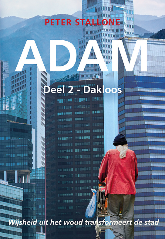 Adam deel 2: Dakloos e-boek