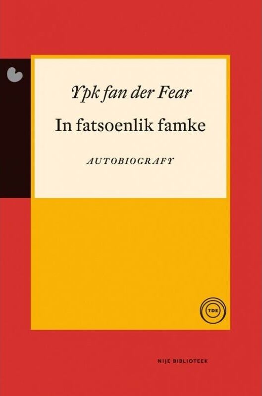 In fatsoenlik famke e-boek