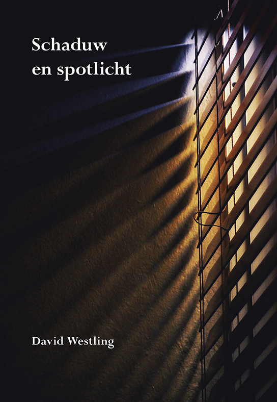 Schaduw en spotlicht e-boek