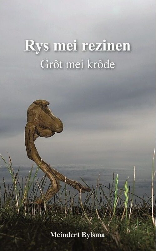 Rys mei rezinen Grot mei krode