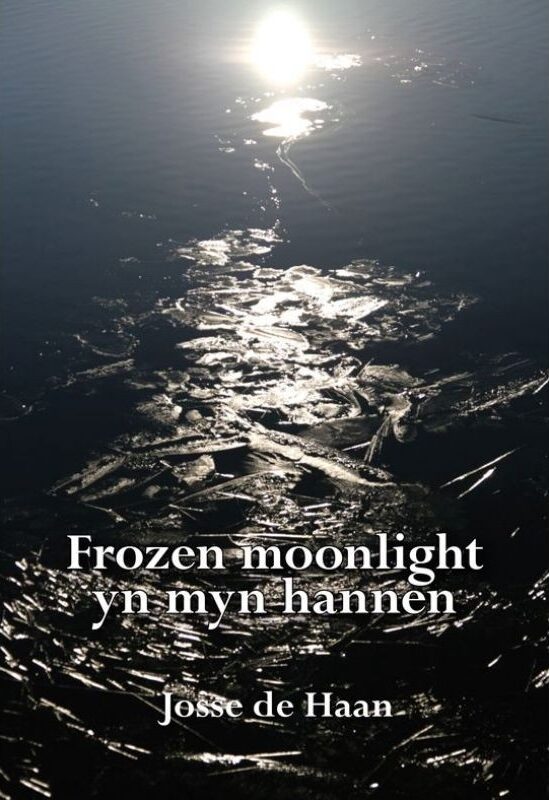 Frozen moonlight yn myn hannen