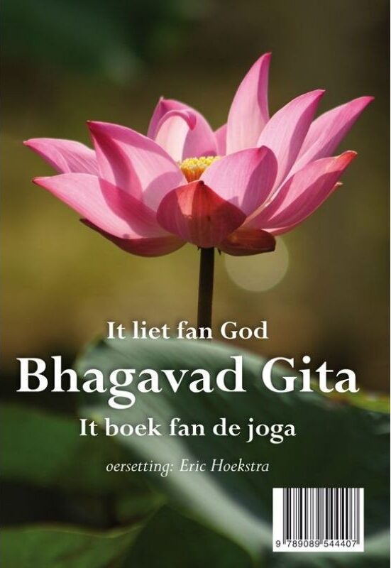 Bhagavad Gita e-boek