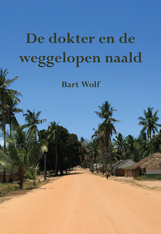 De dokter en de weggelopen naald e-boek